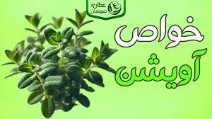 گیاه‌شناسی دارویی: خواص ضدالتهابی عصاره آویشن